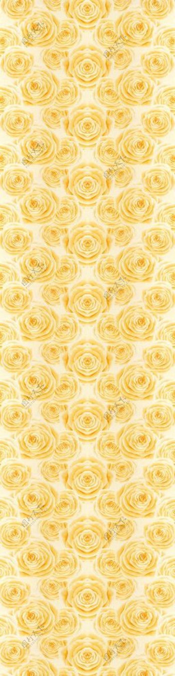 黄玫瑰壁纸