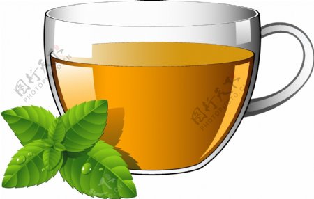 茶杯与绿叶
