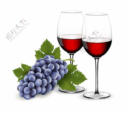 葡萄与红酒插图