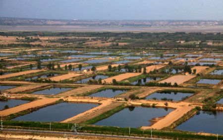 陕西合阳黄河湿地图片