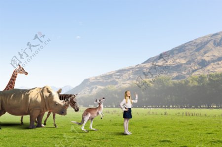 草原动物与小女孩高清图片