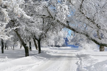 冬天马路风景