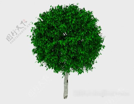 圆形绿树3d模型下载