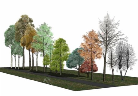 3D树植物模型