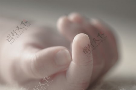 新生儿的小手图片