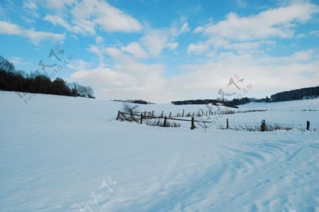 雪景的股票35