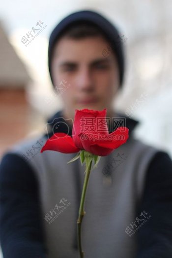 玫瑰代表爱