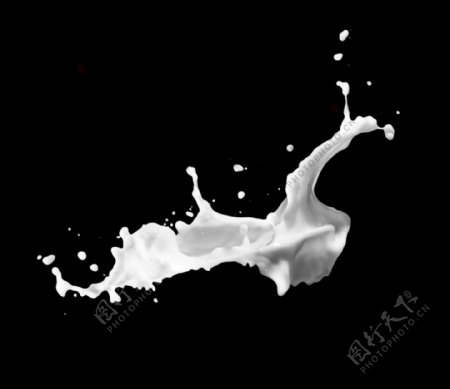 飞溅的白色牛奶图片