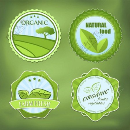 绿色茶叶向量标签