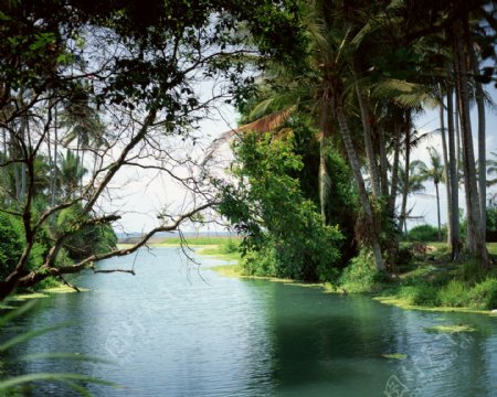 绿色河流风景图片