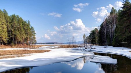 自然冬天池塘湖雪树木天空