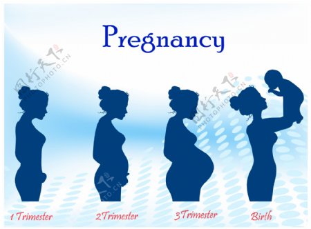孕妇设计图