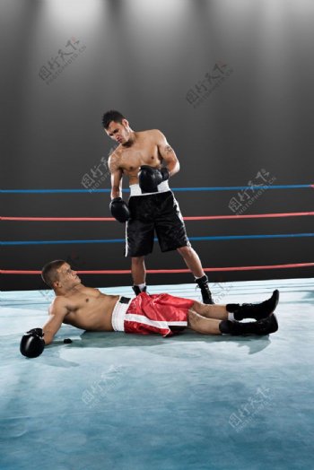 擂台上被击倒的拳击手图片图片