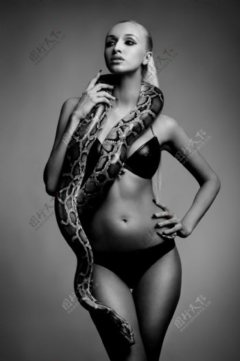 蛇缠绕颈部的美女图片