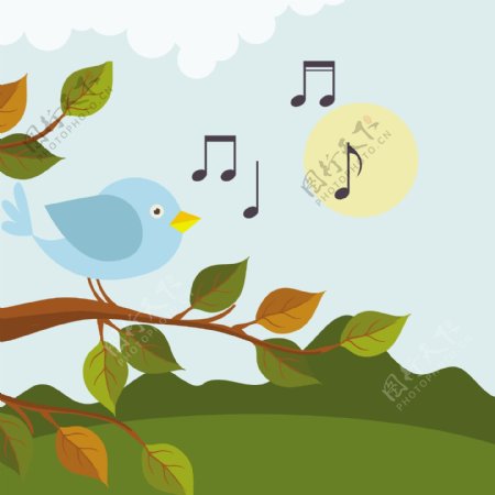 音乐插图与鸟