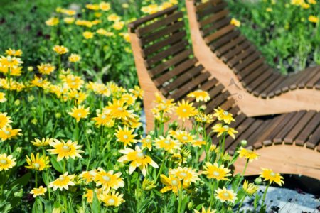 鲜花丛中的躺椅风景