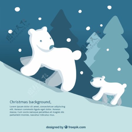 北极熊背景为圣诞节
