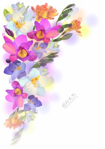 五颜六色的花朵插画