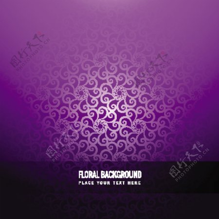 紫罗兰花的背景