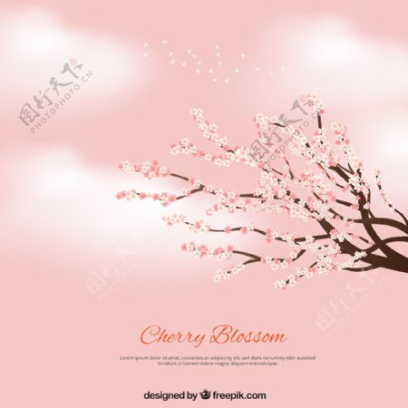 粉红色的背景云朵和树枝上盛开着樱花
