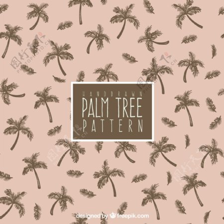 棕榈树装饰图案