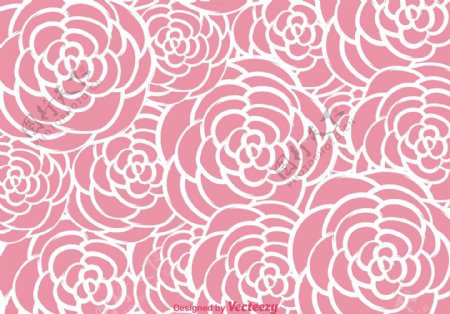 粉红玫瑰墙花