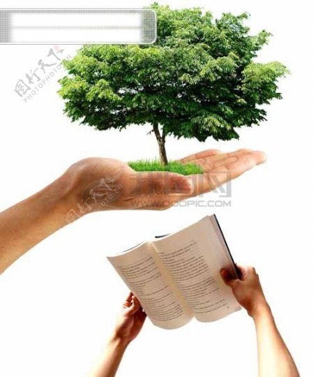 手绿色树生命看书拿书