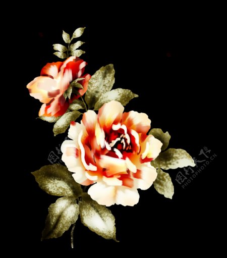 位图植物图案写意花卉花朵牡丹花免费素材
