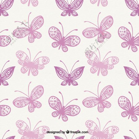 紫色蝴蝶的奇妙图案