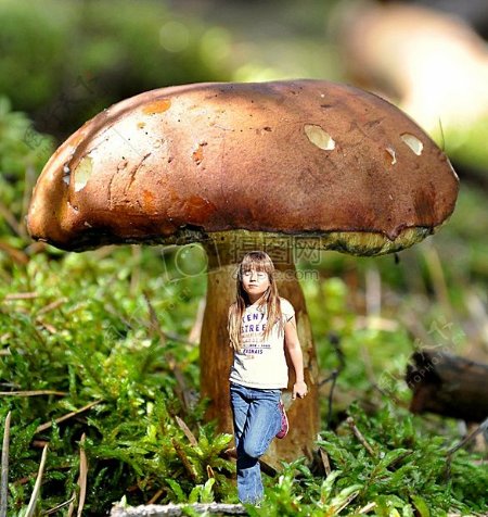 站在巨大蘑菇下的小孩