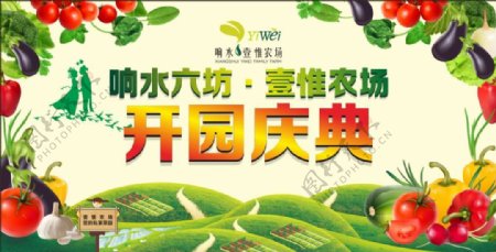 绿色蔬菜农场海报素材
