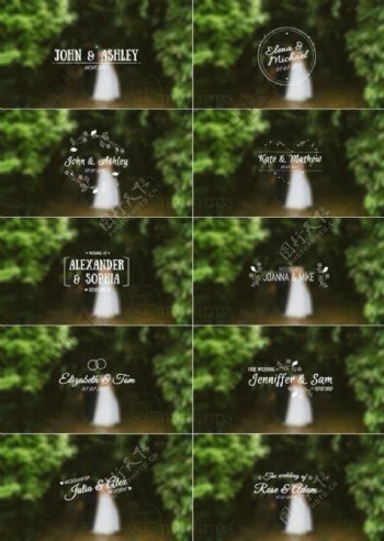小清新婚礼主题标签素材AE模板