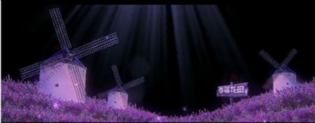 梦幻婚礼背景视频素材