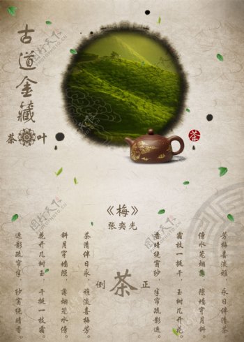 古道金藏茶叶海报