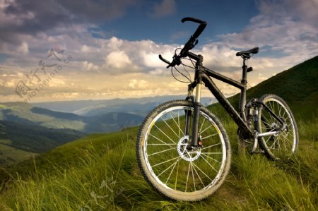 草地上的自行车摄影图片