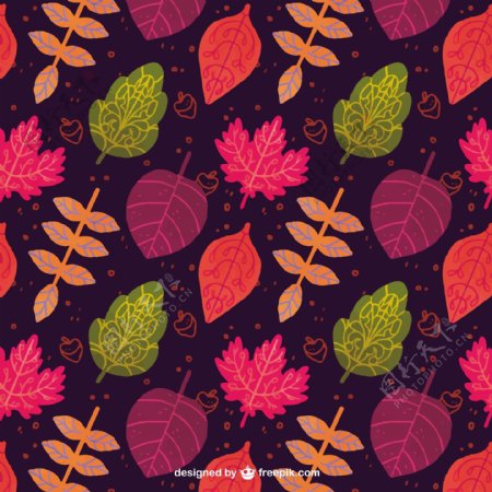 五颜六色的树叶秋天的模式