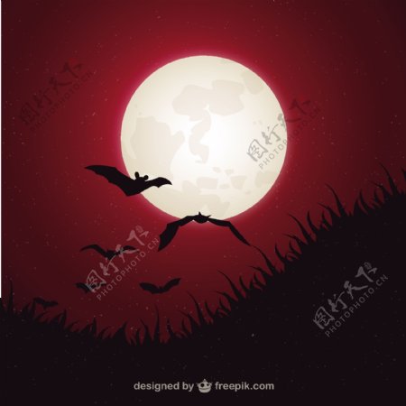 有月亮和蝙蝠的万圣节背景