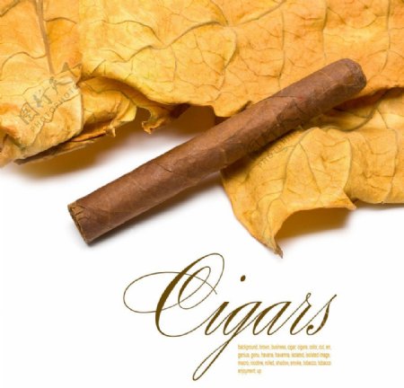 古巴雪茄广告