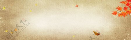 秋季秋装质感唯美背景banner