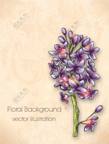 彩绘紫色丁香花