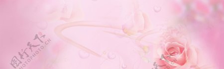 粉色花朵背景banner