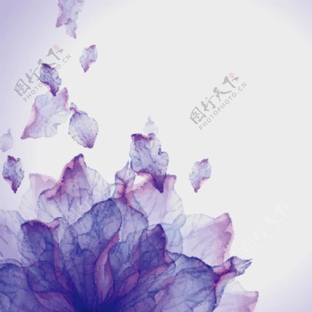紫色精美透明花瓣矢量