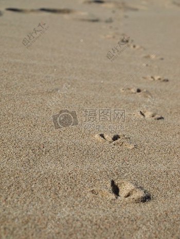海滩上的脚印
