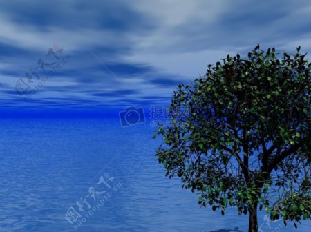 蔚蓝色海洋中的一棵树