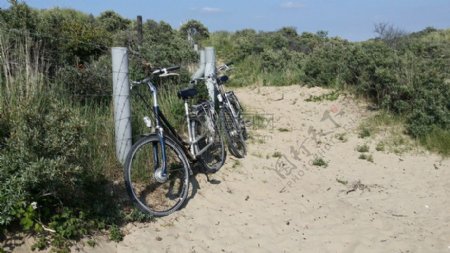 沙丘中的自行车