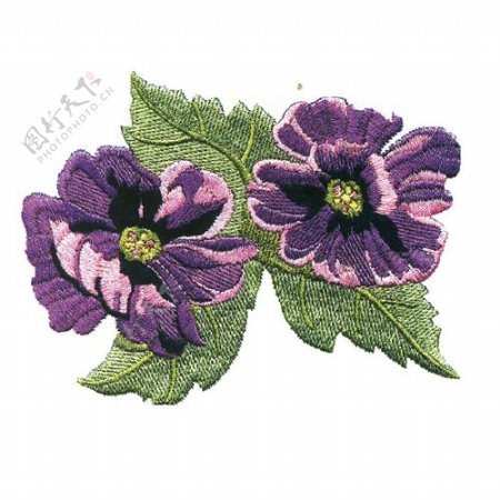 绣花植物花卉色彩淡紫免费素材