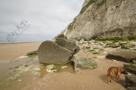 海滩上的卵石