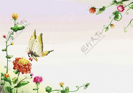 花卉蝴蝶图片