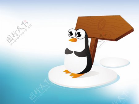 在海边的一个企鹅的插图