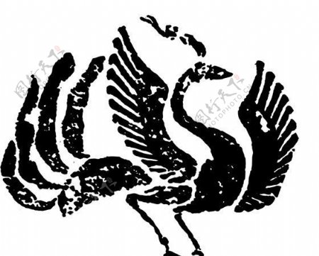 凤凰凤纹图案鸟类装饰图案矢量素材CDR格式0088